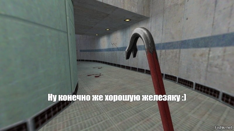 Казуар: птица с самой чёрной репутацией убийцы