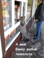 ""И откройте, пожалуйста".