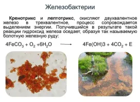 Ознакомился, спс!