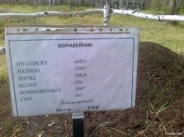 19  забавных объявлений, которые точно не остались без внимания и улыбок тех, кто их увидел