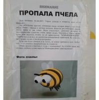 Это из мультфильма.
