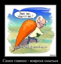 Все пошло на счета приближенных. Начиная с Яйценюха, который вовремя смылся.