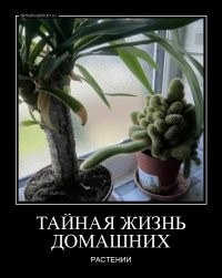 15 странных фотографий, которые могут нагнать жути