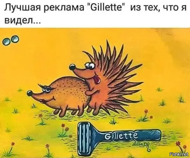 Лысые животные: с чем сталкивается зверь, который лишён шерсти?