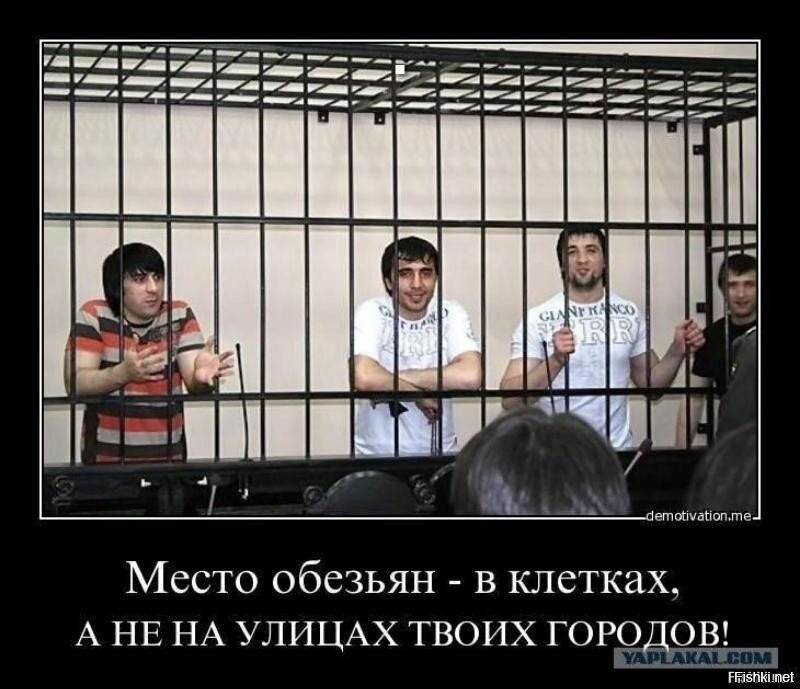 «Ты на нашу землю приехал!»: активисты устроили «разбор полётов» иностранному предпринимателю под Ярославлем