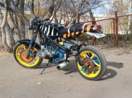 Уже много лет вот это фото поднимает мне настроение)))
