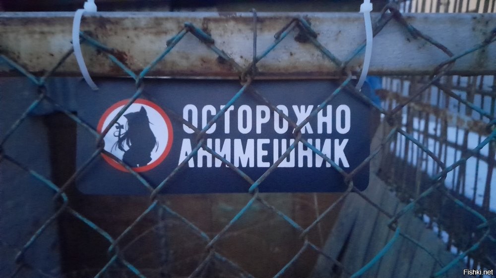 19  забавных объявлений, которые точно не остались без внимания и улыбок тех, кто их увидел