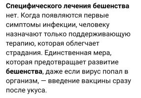 Собака, заболевшая бешенством