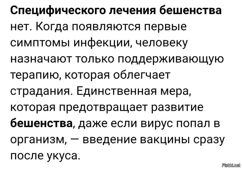 Собака, заболевшая бешенством