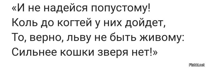 Кошку? Точно?