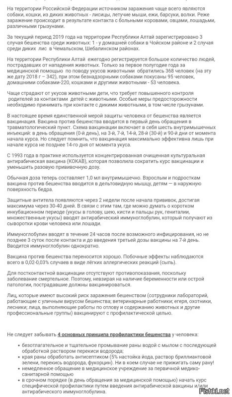 Собака, заболевшая бешенством