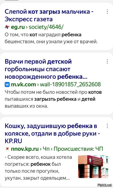 Кошку? Точно?