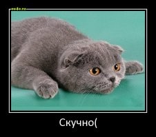 В какое интересное время мы живём - всё измеряется деньгами((
Никого не интересует история этого дома(земли), что жителей связывает с этим домом- всё банально: много денег или мало.