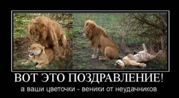 «Показывает себя эскортницей и содержанкой»: депутат Милонов осудил девушек за фото с шикарными букетами