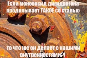 Врач предостерёг от заваривания чая в пакетиках