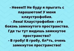 Пушистый экстремал летает на параплане вместе с хозяином