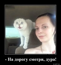 Девушки пели за рулём и попали в аварию