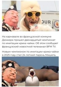Во Франции прошел чемпионат по имитации крика чайки