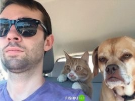 Девушки пели за рулём и попали в аварию