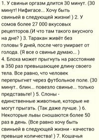 Туристы занялись оральным сексом в тук-туке