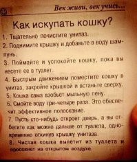 Купание агрессивного кота