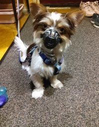 25 примеров взаимно обретённого счастья