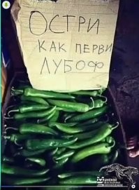 Лучшая коллекция смешных ценников