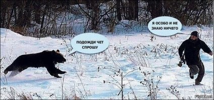 Мужчина сбежал от медведя в Сочи