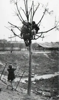 Прям так и читается:  Мелкий, тебе не жить…“