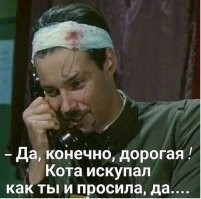 Купание агрессивного кота