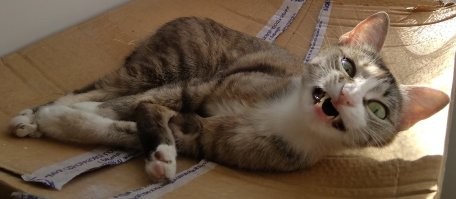 мы такие!