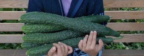 В Китае мужчина решил пройти процедуру, имитирующую родовые схватки, чтобы доказать девушке свою любовь