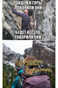 Пушистый экстремал летает на параплане вместе с хозяином