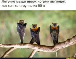 Пура Гоа Лавах – таинственный храм змеиного короля