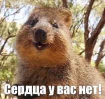 Квоккам здесь не рады