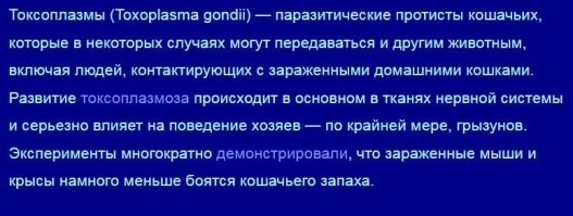 Чувство, будто упустил что-то важное⁠⁠