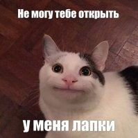 Подстава от кота