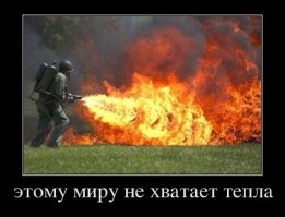 Птицеед-голиаф: крупнейший паук планеты