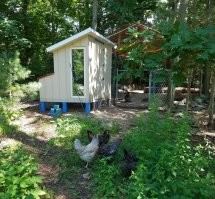 Стоит дюжина яиц от 4 до 5 долларов в любом магазине (что очень дорого, в прошлом стоила порядка 1 доллара). Сдавать в аренду куриц - это бред, просто потому что для куриц требуется курятник со всеми сопутствующими проблемами (как минимум нужен свой дом с достаточным участком). Никакого отношения к действительности пост не имеет.
Заявляю это как специалист в данной области: у меня есть курятник (моей постройки) и от 3 до 5 куриц уже более 20 лет. Сейчас как раз то время когда содержать куриц стало выгодным по деньгам.