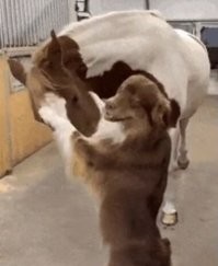 Мы с тобой одной.... масти, ты и я!