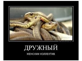 Женщина отравила свою коллегу на работе, когда услышала о позитивных изменениях в её жизни