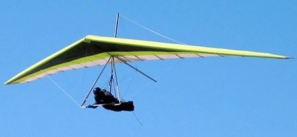 Возможно на такого качества видео это не увидишь в принципе, но меня сразу смутило то что нет растяжек. Полез искать фото правильных дельтапланов. На самом деле - без растяжек нет их.
Растяжки бы не дали сложиться. Или их не было или лопнули.