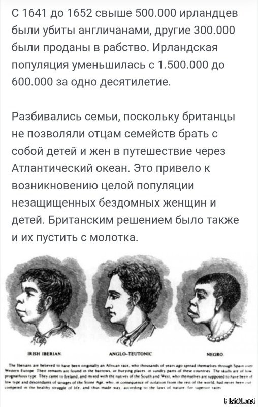 Хм... Сначала ирландцы "эмигрировали" потому, что их туда в рабство продавали.