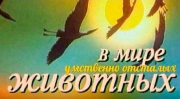 Две девушки в амёбном состоянии устроили перформанс в подъезде