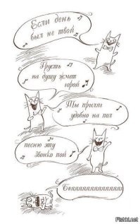20 очаровательных винтажных фото котов, доказывающих, что люди всегда обожали пушистых питомцев