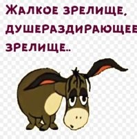 Голое шоу: женщина без одежды в самолете "брала штурмом" кабину пилотов