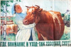 Что-то вся эта шняга с демографией, всё больше напоминает соцсоревнование на животноводческой ферме.