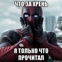 Названы самые красивые породы собак по принципу золотого сечения
