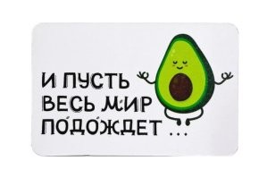 "Сон дороже всего": собака курьезно отреагировала на выступление музыкантов на фестивале