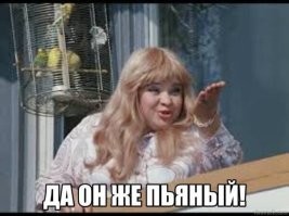 "Сон дороже всего": собака курьезно отреагировала на выступление музыкантов на фестивале